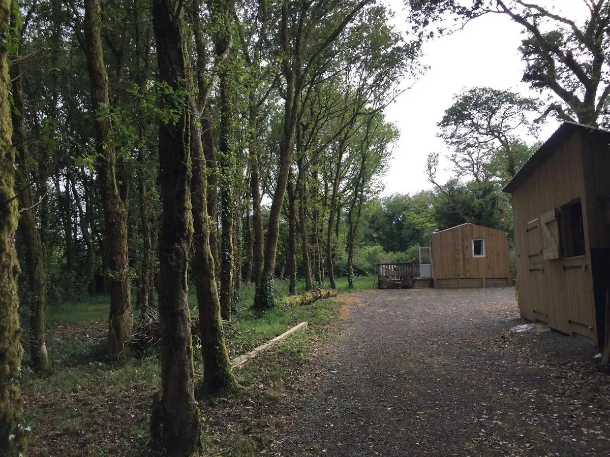 Chalet Foret Huelgoat Monts D'Arree La Feuillee 0*,  France